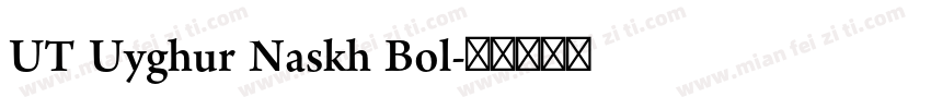 UT Uyghur Naskh Bol字体转换